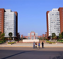 university