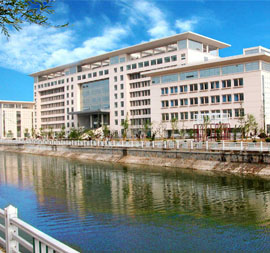 university